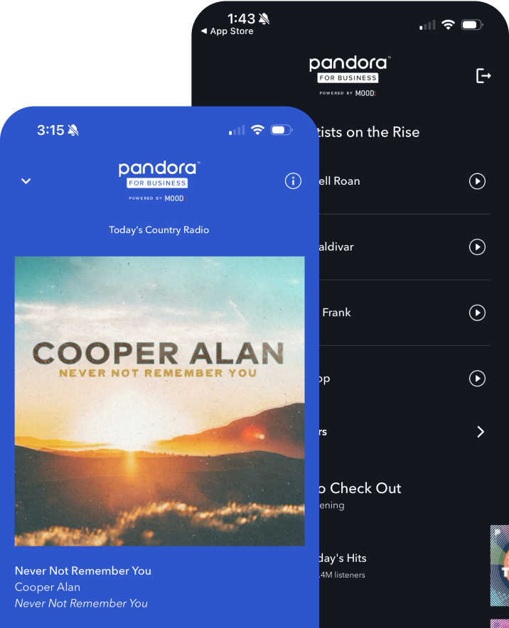 Pandora App Interface