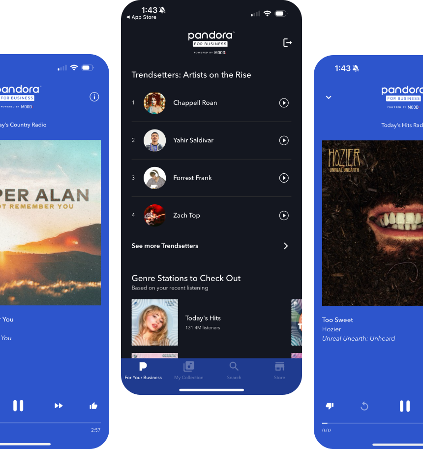 Pandora App Interface